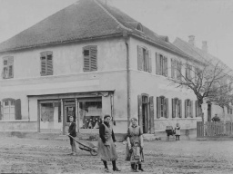 schierling-schuster-1932